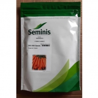 فروش بذر هویج 2313 سیمینس