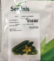 بذر خیار استورم ( STORM ) سیمینس 