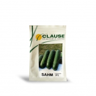 بذر خیار سهم کلوز ( SAHM ) 