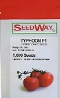 فروش بذر گوجه تایفون 