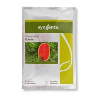 فروش بذر هندوانه هیبرید گالاتا سینجنتا
