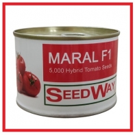فروش بذر گوجه فرنگی مارال سیدوی